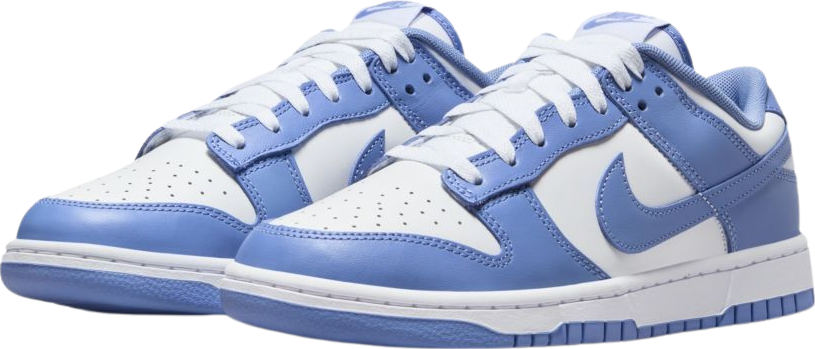 Nike Dunk Low Polar Blue