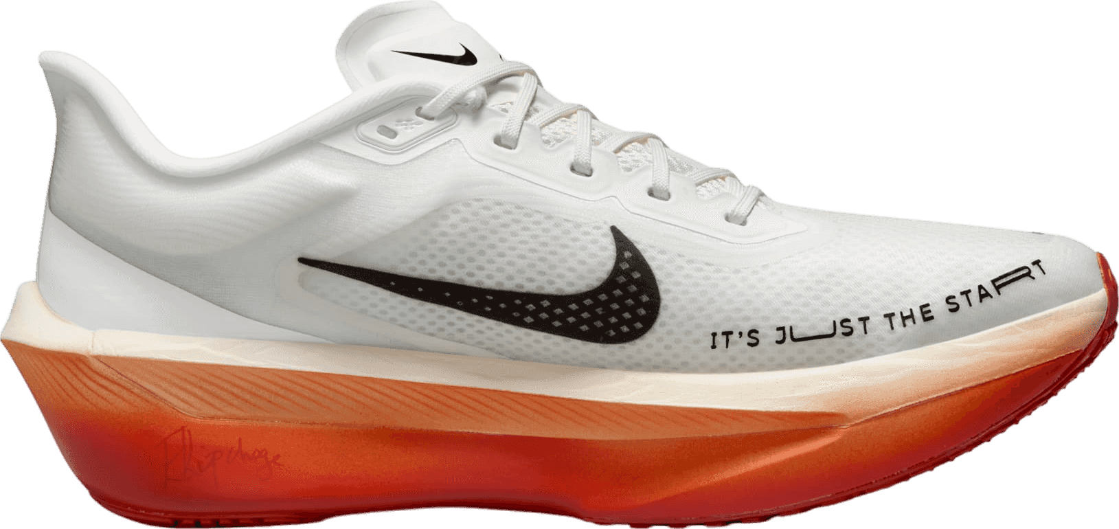 Eliud Kipchoge x Nike Zoom Fly 6