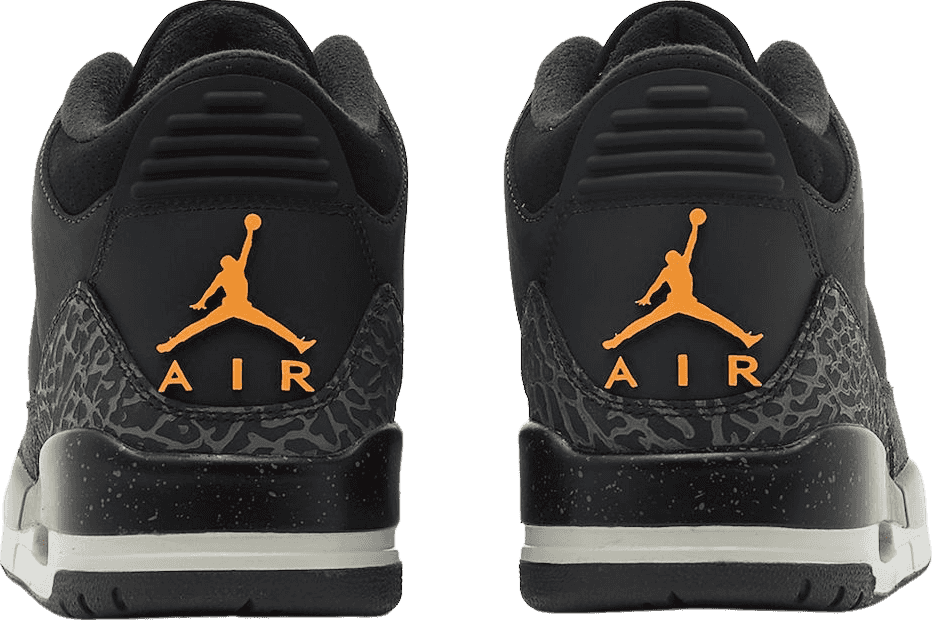 Air Jordan 3 Fear (2023)