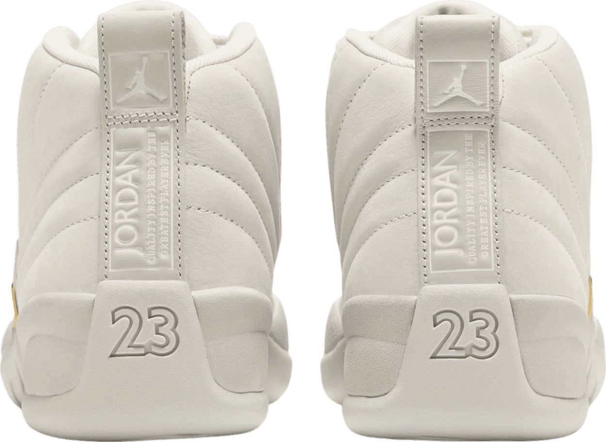 Air Jordan 12 Phantom (W)