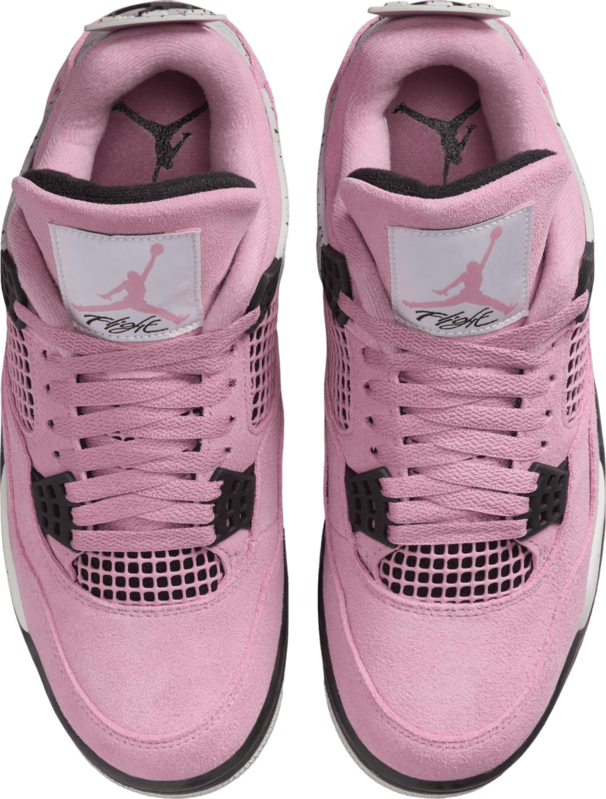 Air Jordan 4 Orchid (W)