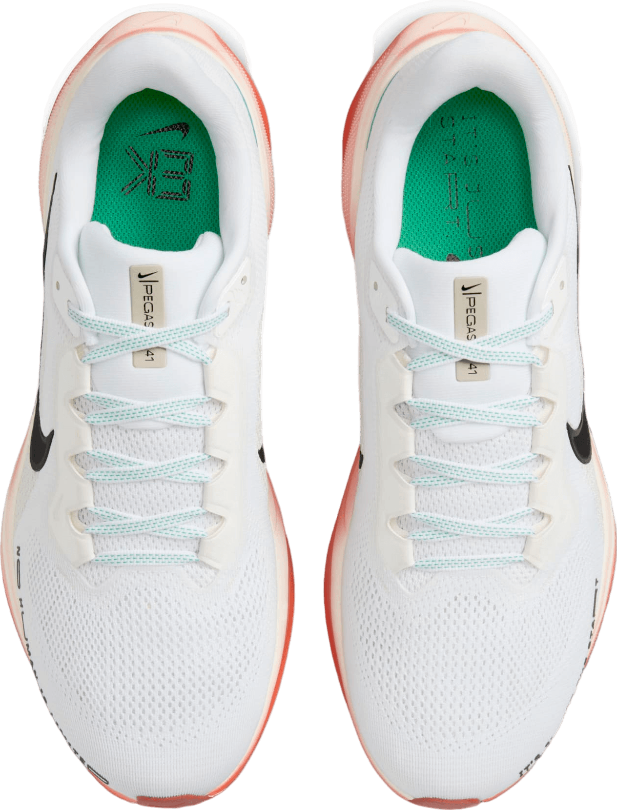 Eliud Kipchoge x Air Zoom Pegasus 41