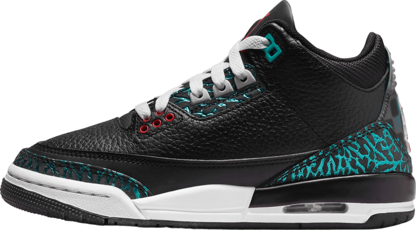 Air Jordan 3 Moto (GS)