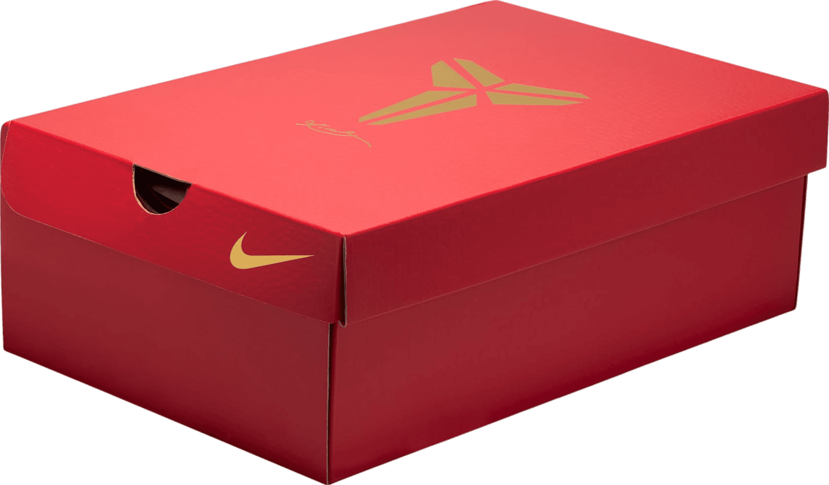 Nike Kobe 5 Protro “Year of the Mamba”