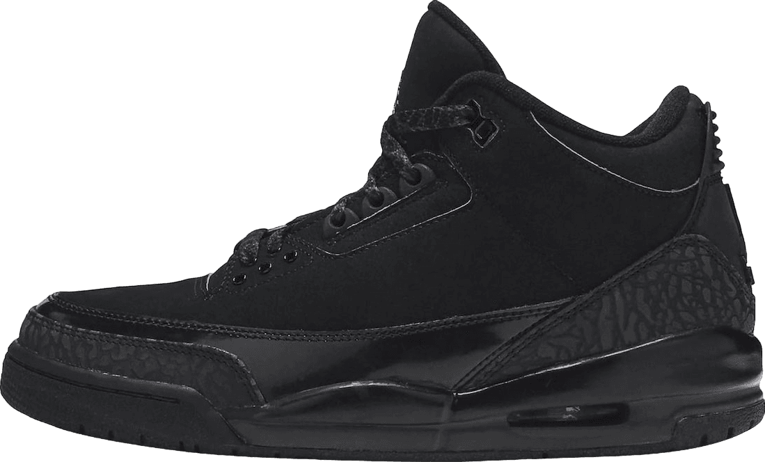 Air Jordan 3 Black Cat